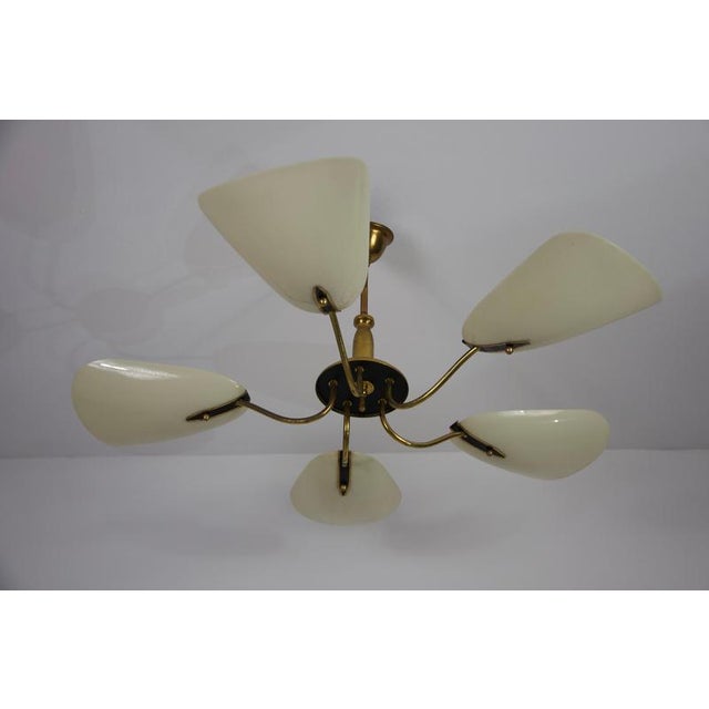 Mid-Century Italian Brass 5-Arm Sputnik Chandelier, Germany, 1950s For Sale - Image 9 of 15
