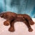 Rustic European Vintage Hand-Carved Hardwood Lion Sculpture With Gulati Label, 20" For Sale - Image 3 of 10