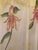 Orchid Tropical Floral Hand Painted on Silk Chiffon Throw For Sale - Image 12 of 12