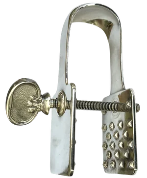 1990s Broggi Milano Classica Parmesan Cheese Tongs Holder Silver Plated Nickel