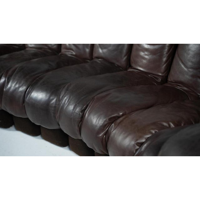 1970s DS-600 Modular Sofa attributed to Berger, Peduzzi, Vogt & Ulrich for de Sede, 1970s, Set of 12 For Sale - Image 5 of 10