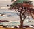 Wood Hanson Puthuff "Monterey Coastal Cypress" Plein Air Impressionist Landscape-1930s Oil Painting For Sale - Image 7 of 10