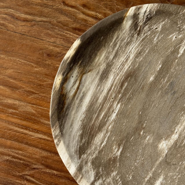 Light Beige Petrified Wood Circular Tray, 1980s For Sale - Image 6 of 8