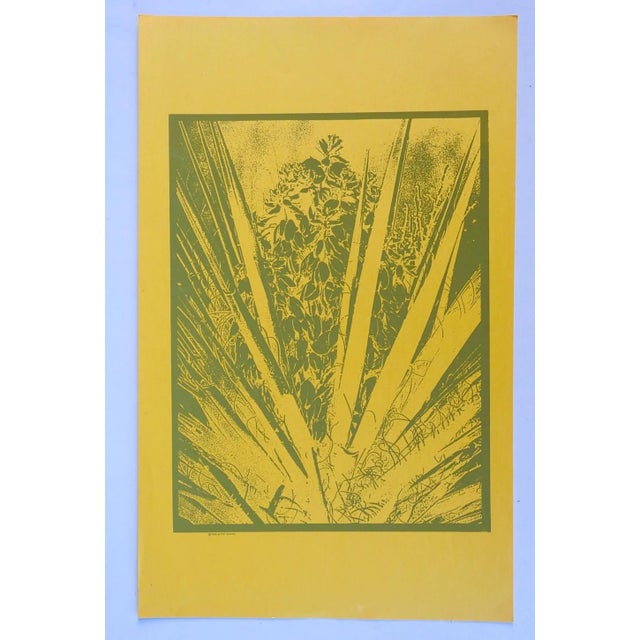 Serigraph on yellow paper with sage green ink image of a yucca plant by F. W. Schmidt. Unframed, dated 1968, upper margin...