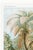 Paper Botanical Art Print Reproduction, Vintage Fern and Palm Tree Illustration, 32" X 48" For Sale - Image 7 of 10