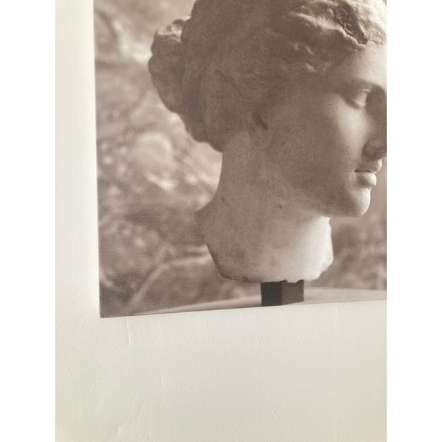 Gray William Gray Harris Photograph on Canvas “ Aphrodite of Kindos" For Sale - Image 8 of 9