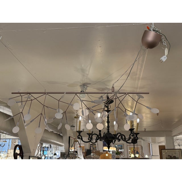 Design Plus Gallery presents the Heracleum Endless Suspension Lamp by Bertjan Pot for Moooi. Inspired by the branching...