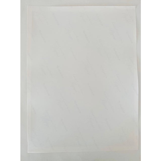 Printmaking Materials Circa 1998 Jeffrey Rothstein, Flora Fauna Series Vintage Color Photograph For Sale - Image 7 of 8