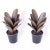 Pair of faux agave plants crafted in brass with a contrived patina and serrated edges set in metal planters with faux...