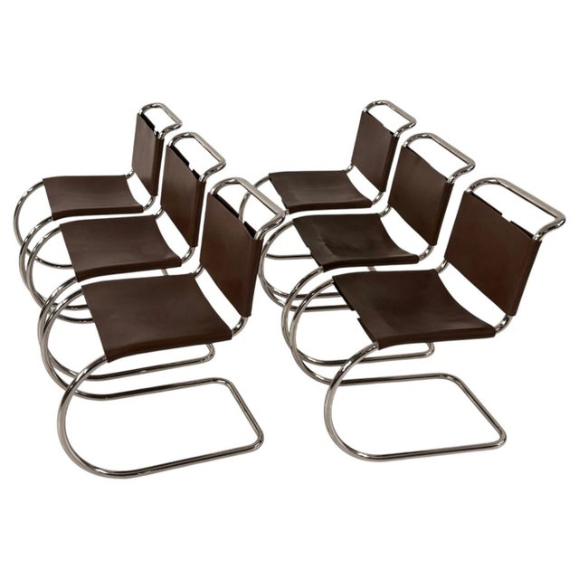 Mid-Century Modern Set of 6 Mies Van Der Rohe Leather Mr10 Dining Chairs, Knoll International, 1960 For Sale - Image 3 of 9