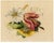 James Holland OWS, Flower Posy with Tulip & Clematis, Watercolour For Sale - Image 4 of 7