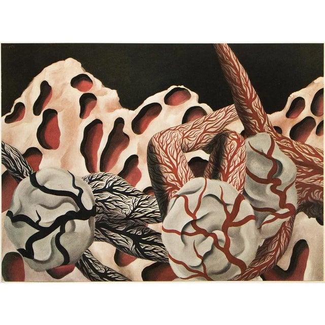 Paper 1972 After Rene Magritte "The World's Blood", First Edition Full-Color Print For Sale - Image 7 of 7