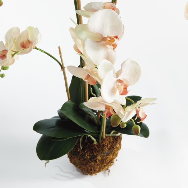 Contemporary Phalaenopsis Orchid Drop-In 30" For Sale - Image 3 of 5