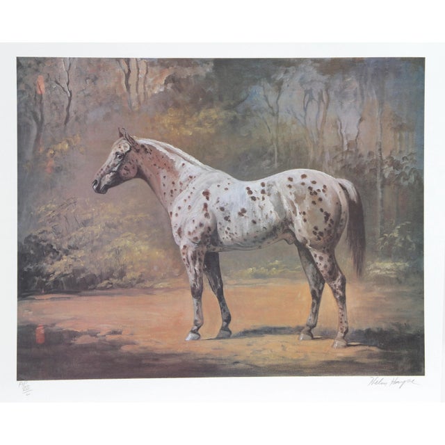 Modern Helen Hayse, Appaloosa Stud, Lithograph For Sale - Image 3 of 3