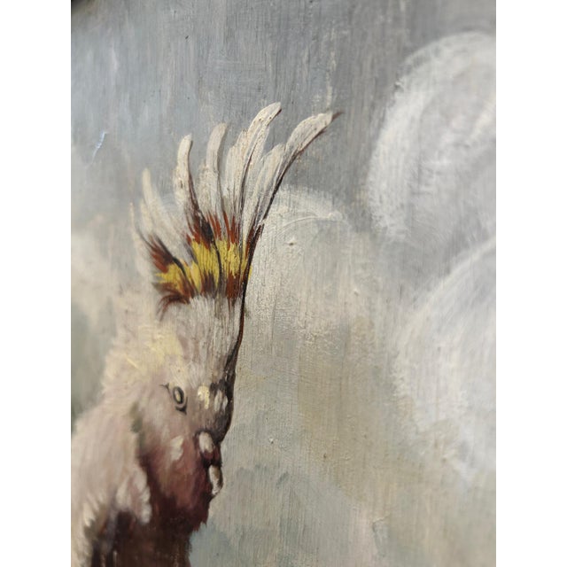 Cockatoos, 1950s, Oil Paintings on Panel, Set of 2 For Sale - Image 7 of 9