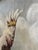 Cockatoos, 1950s, Oil Paintings on Panel, Set of 2 For Sale - Image 7 of 9