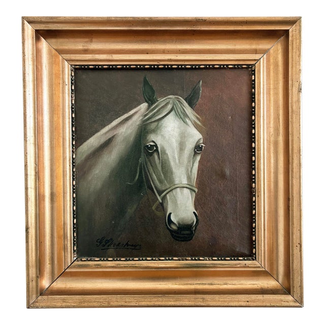 Vintage Original White Horse Oil Painting, Signed Equestrian Portrait - Signed For Sale