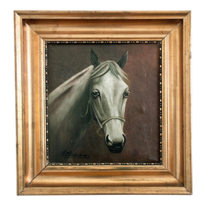 Vintage Original White Horse Oil Painting, Signed Equestrian Portrait - Signed