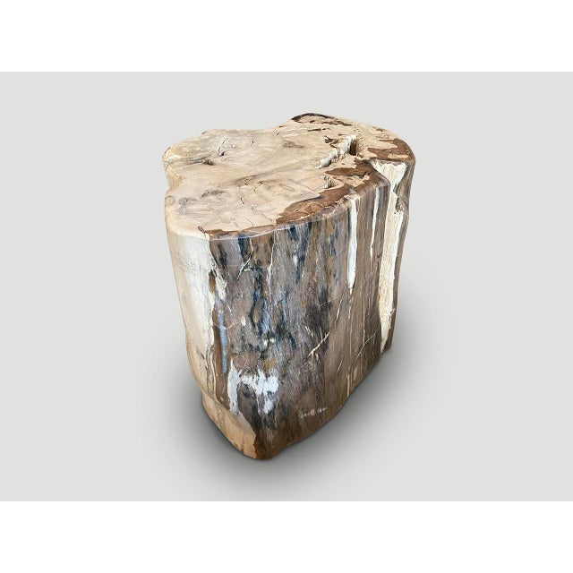 Andrianna Shamaris Ancient Petrified Wood Side Table or Coffee Table For Sale - Image 9 of 18