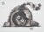 Laszlo Tibay, Chat observant une coccinelle, Ink & Wash Drawing For Sale - Image 8 of 8