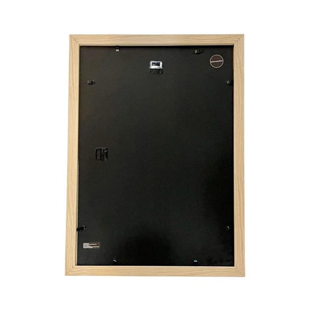 1965 French Herbarium Botanical Specimens Set of Four For Sale - Image 13 of 13