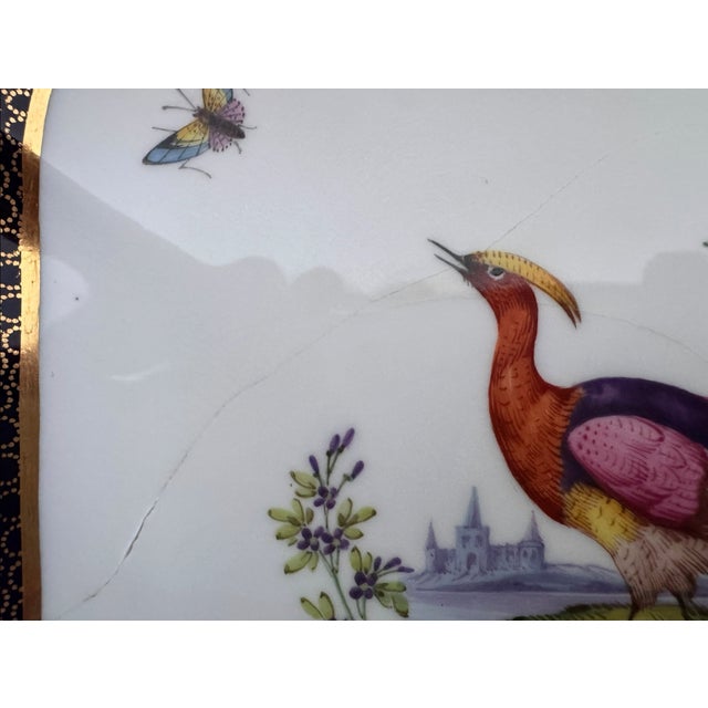 Early 20th Century Gilded Grandeur: Copeland Spode "Exotic Bird" Plates From Thomas Goode & Co., London - Set of 4 For Sale - Image 9 of 13
