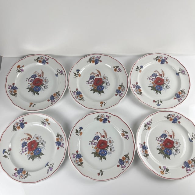 Agreste Dinner Plates from Sarreguemines, 1980s, Set of 6 For Sale - Image 11 of 11