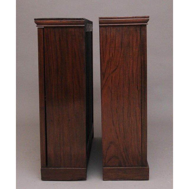 Early 19th Century Rosewood Cabinets, 1830, Set of 2 For Sale - Image 10 of 13