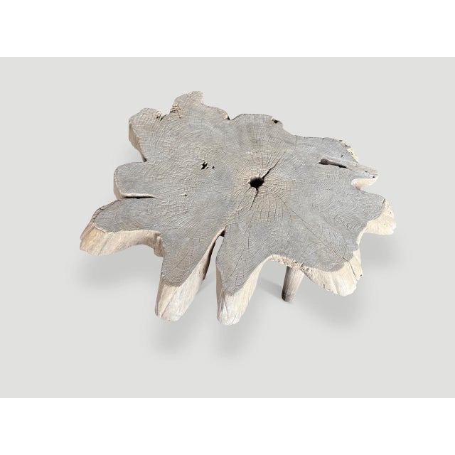 Andrianna Shamaris Amorphous Mid Century Style Bleached Coffee Table For Sale - Image 4 of 6