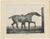 After Chalon, Muly Moloch Sporting Horse, Lithograph, 1840 For Sale - Image 3 of 9