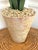 Tommy Mitchell Tole Potted Hyacinth. For Sale - Image 10 of 12