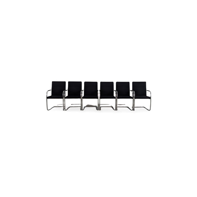 S60 Series S 61V Conference Cantilever Chairs from Thonet, Set of 6 For Sale - Image 12 of 12