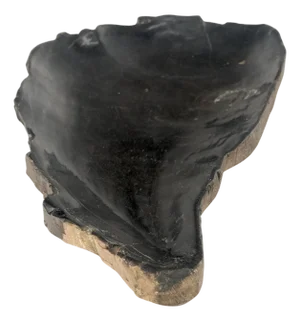 Petrified Wood Liver Shape Solid Black Elongated Bowl Dish Large Plate Ashtray