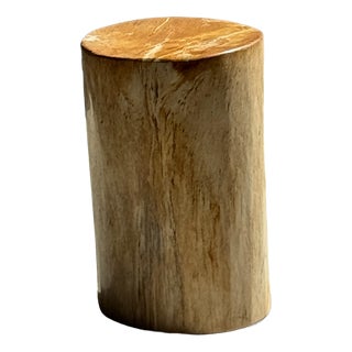 Small Side Table in Orange Petrified Wood, 1980s For Sale