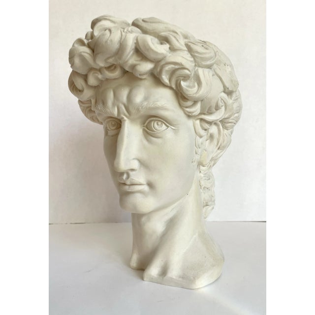 1970s Vintage Faux-Stone Portrait Bust of Michelangelo's David For Sale - Image 5 of 12