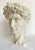 1970s Vintage Faux-Stone Portrait Bust of Michelangelo's David For Sale - Image 5 of 12