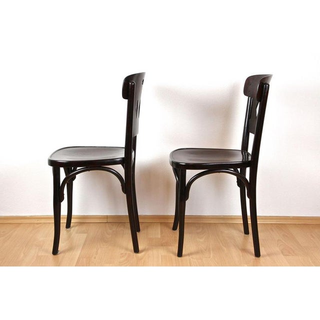 Art Nouveau Bentwood Chairs attributed to Kohn, Vienna, 1910s, Set of 2 For Sale - Image 6 of 14