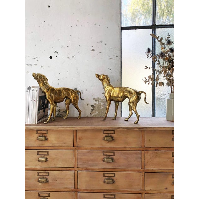 Brass Dog Statuettes, 1960s, Set of 2 For Sale - Image 3 of 18