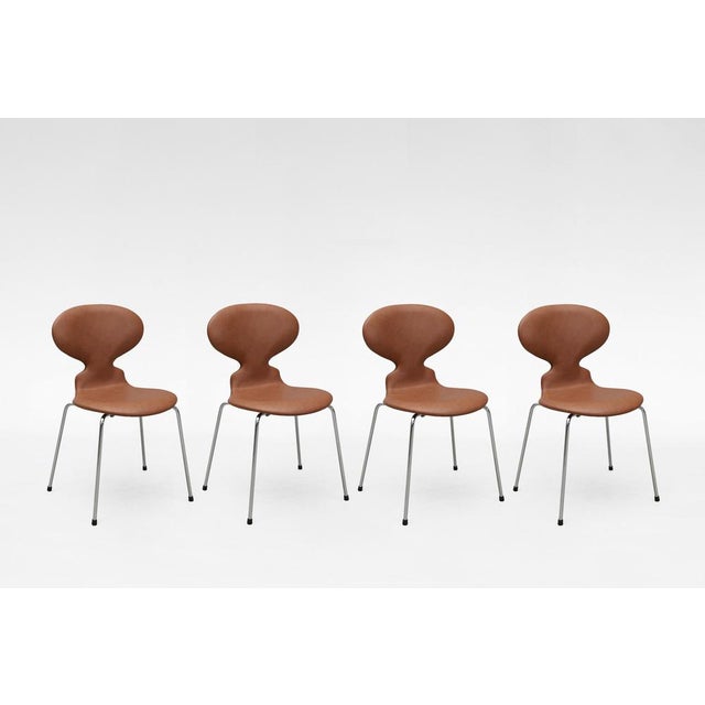 Fritz Hansen Series 7 Model 3107 Dining Chairs in Cognac Leather by Arne Jacobsen for Fritz Hansen, Set of 4 For Sale - Image 4 of 6