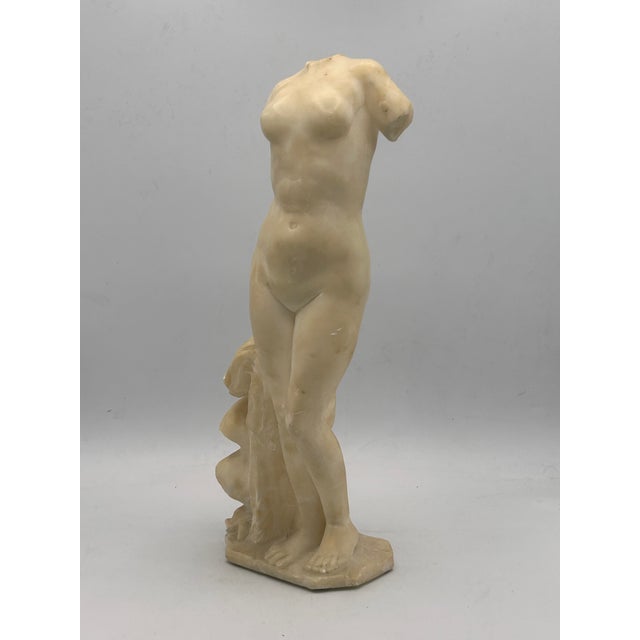 Ivory Early 20th-Century Grand Tour Italian Carved White Marble Statuette After the Venus of Cyrene For Sale - Image 8 of 18