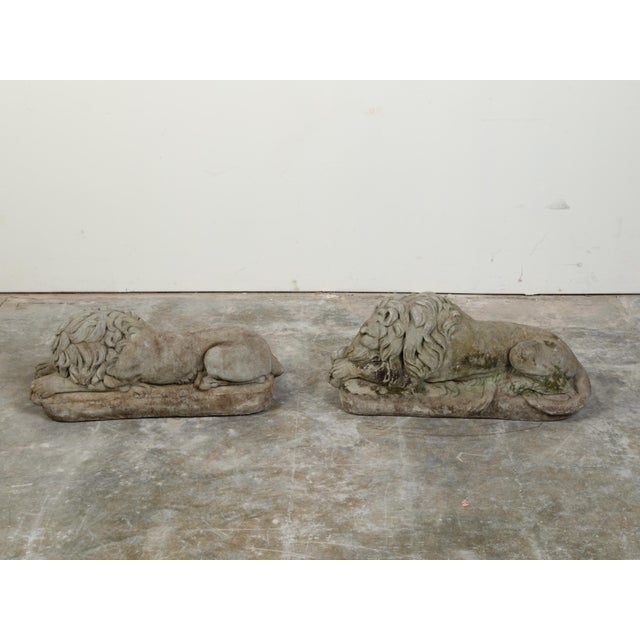 Gray Pair of English 1920s Cast Stone Reclining Lion Sculptures on Conforming Bases For Sale - Image 8 of 10