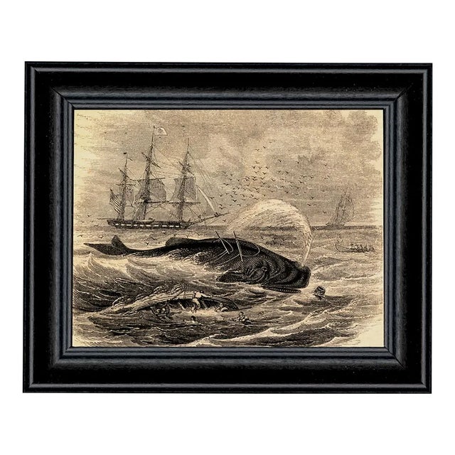 Pursuit of Sperm Whale Etching Framed Print Behind Glass in Black Wood Frame For Sale
