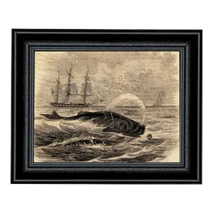 Pursuit of Sperm Whale Etching Framed Print Behind Glass in Black Wood Frame