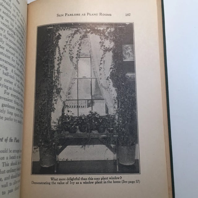 1929 "Milady's House Plants" Hardcover Book For Sale - Image 5 of 11