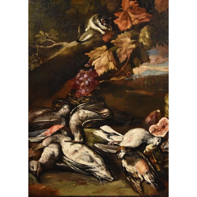 Giovanni Paolo Castelli, Still Life, 1700, Oil on Canvas, Framed For Sale - Image 7 of 16