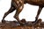 French Bronze Sculpture "Chien Braque" by Pierre-Jules Mene For Sale - Image 14 of 18