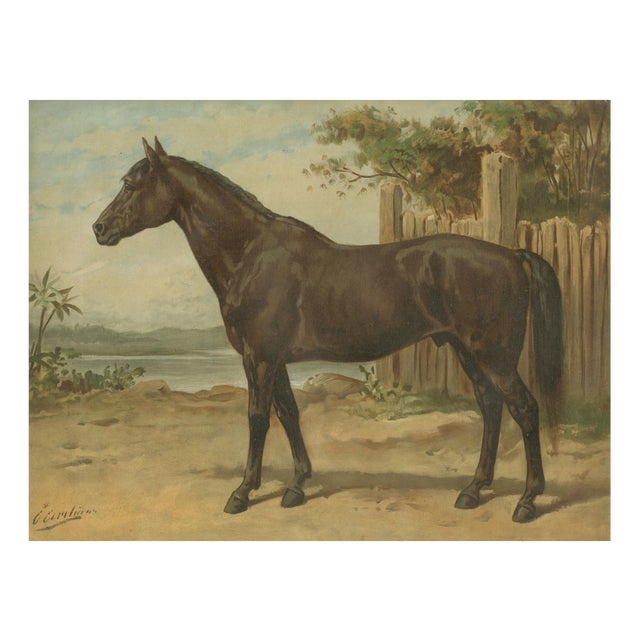 After Otto Eerelman, Australian Horse, 1898, Lithograph on Paper For Sale