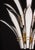 Vistosi "Palms" Murano Glass Style Chandelier, 1970 For Sale - Image 11 of 12