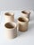 Antique Stoneware Crocks Set of 4 For Sale - Image 11 of 15
