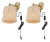 Ciaran 9.5" Rattan Plug-In Wall Sconce in Natural/Brass - a Pair For Sale